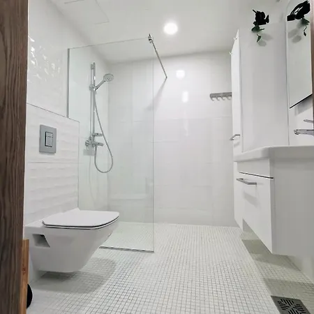 公寓 Scandian - Centre *